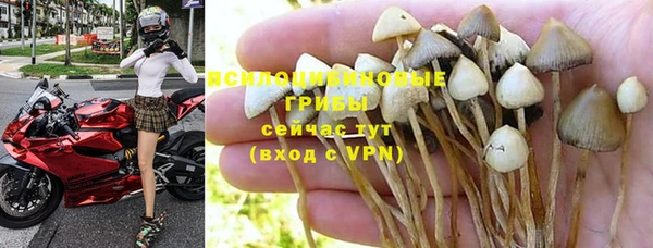 таблы Арсеньев