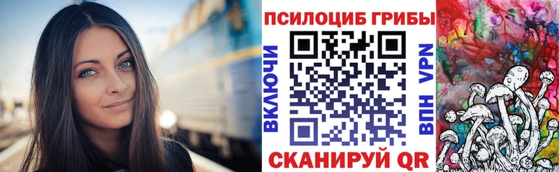 купить закладку  Пустошка  Псилоцибиновые грибы мухоморы 