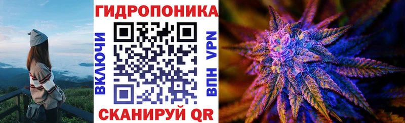 Бошки марихуана OG Kush  Пустошка 
