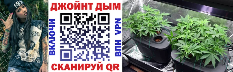 Шишки марихуана план Пустошка